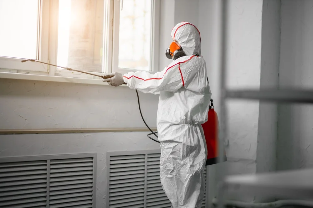 Professional mold remediation services in Winslow, NJ